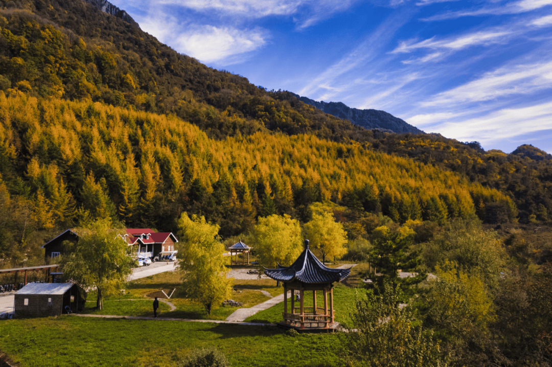 陕西宁陕：秦岭深处绘“绿卷”，生态“高颜值”变经济“高价值”