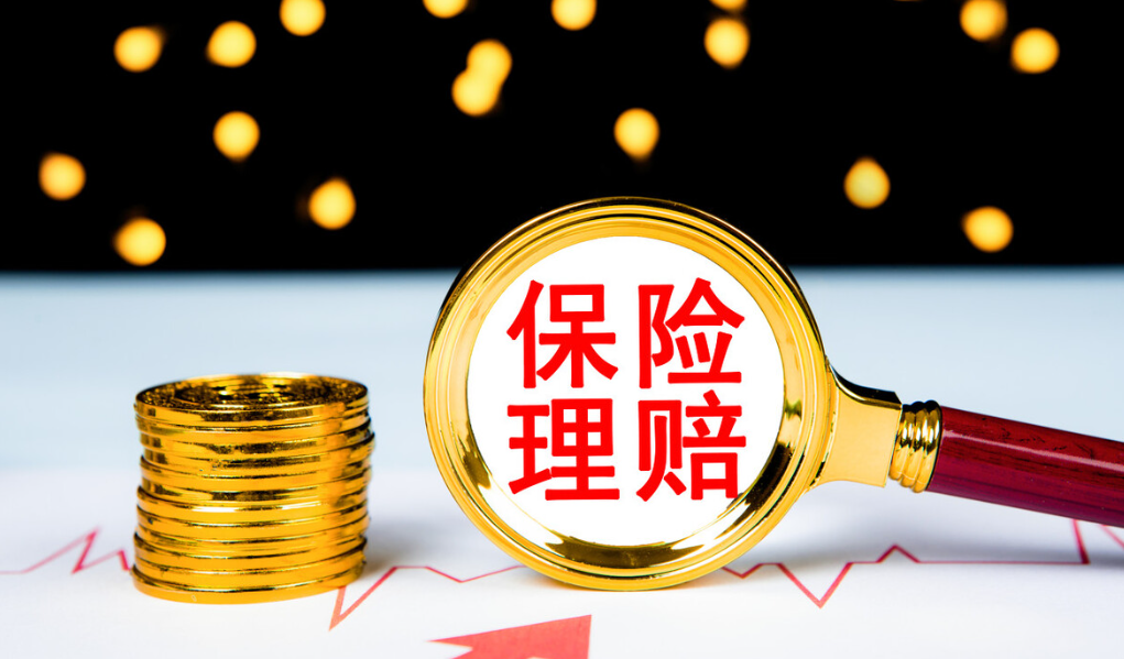 人保财险政银保 ,人保护你周全_2026LNG运输项目可行性：在能源变迁的巨浪中，做清醒的航行者