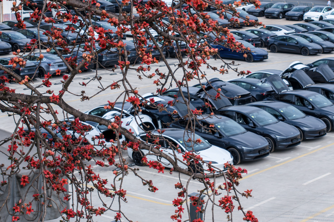 特斯拉官网发布分析师预测：四季度交付量或降15%