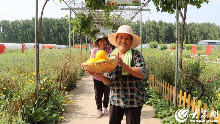 (乡村行・看振兴)山西代县:黑皮鸡枞菌种植“发力” 带动乡村就业增收