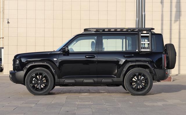 2026年黑色食材产品行业现状洞察与未来趋势深度剖析_人保服务,拥有“如意行”驾乘险，出行更顺畅！