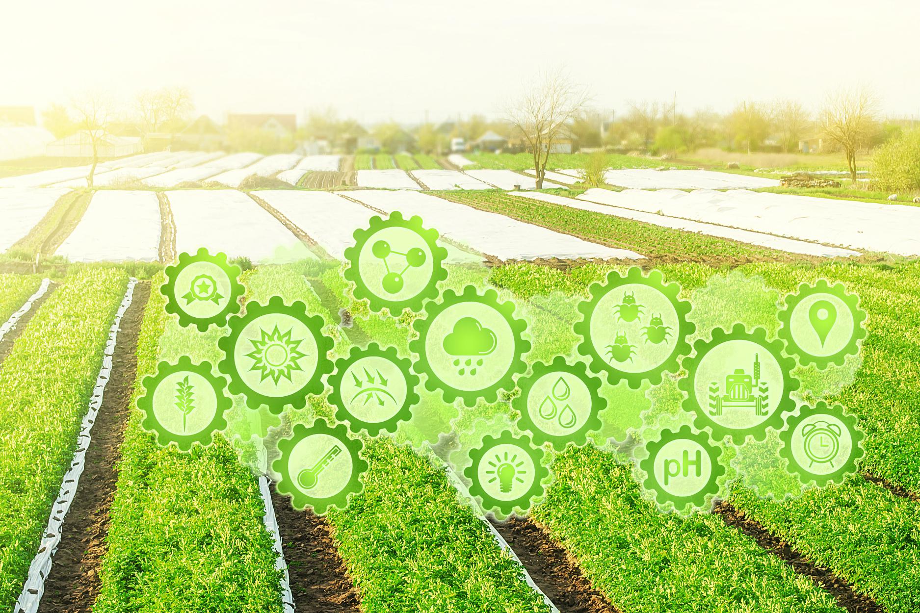 发挥金融优势 中银基金创新帮扶模式赋能乡村振兴