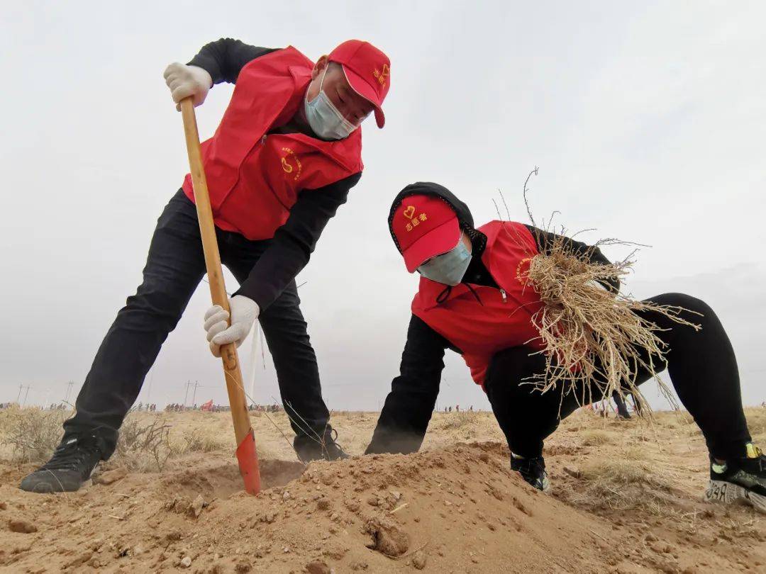 2026年环保装备行业市场深度调研及未来发展趋势_人保伴您前行,拥有“如意行”驾乘险，出行更顺畅！