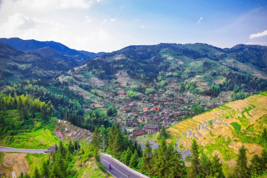 (走进中国乡村)“土味三国”出圈 安徽小伙带领银发族重塑乡村新潮