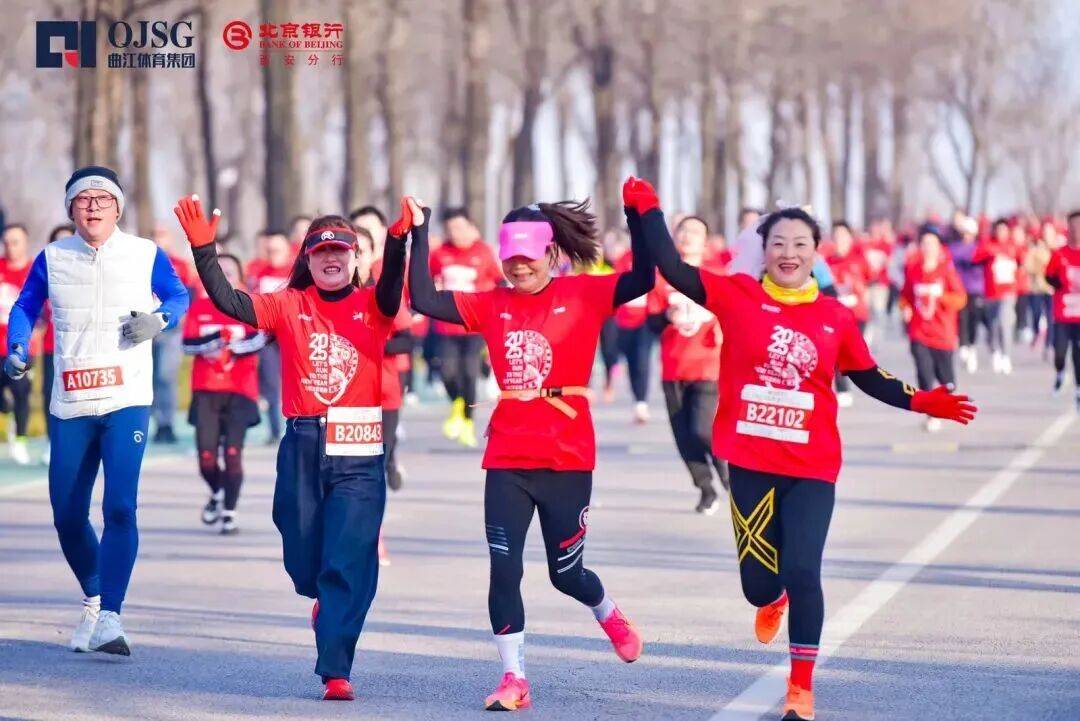 人保服务 ,人保财险政银保 _2026动画片项目商业计划书：携手共进，共创动画片美好未来