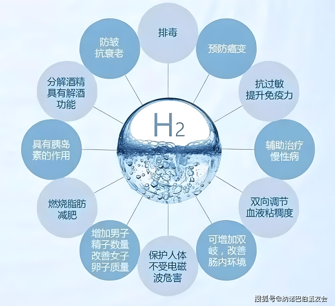 2025年中国游艇行业深度分析:现状剖析、前景展望与趋势洞察_人保财险政银保 ,人保有温度