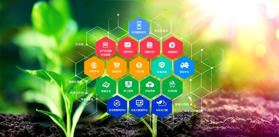 人保财险政银保 ,人保护你周全_2026-2030年物流产业：智慧化、绿色化、全球化融合发展的新阶段