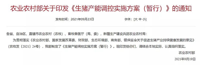 生猪期货上市五周年 从“稳起步”到“深扎根”