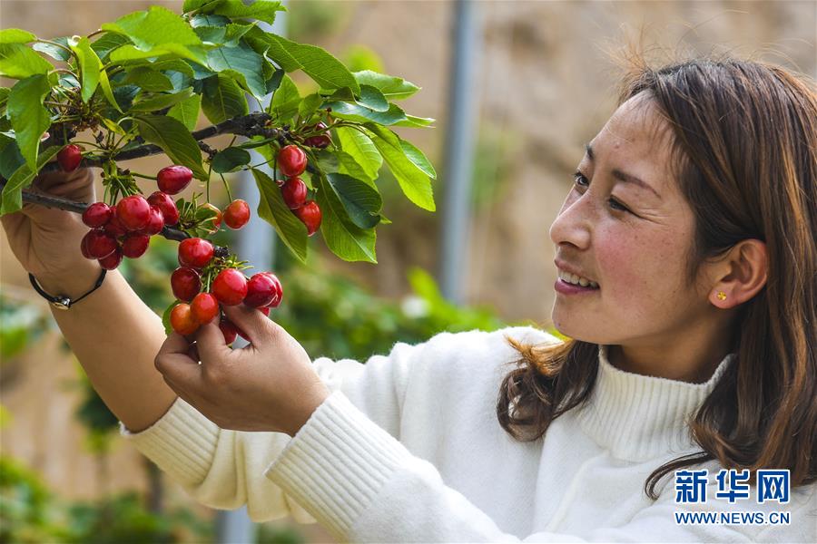 五部门：引导工业企业和园区推进工业绿色微电网建设与应用