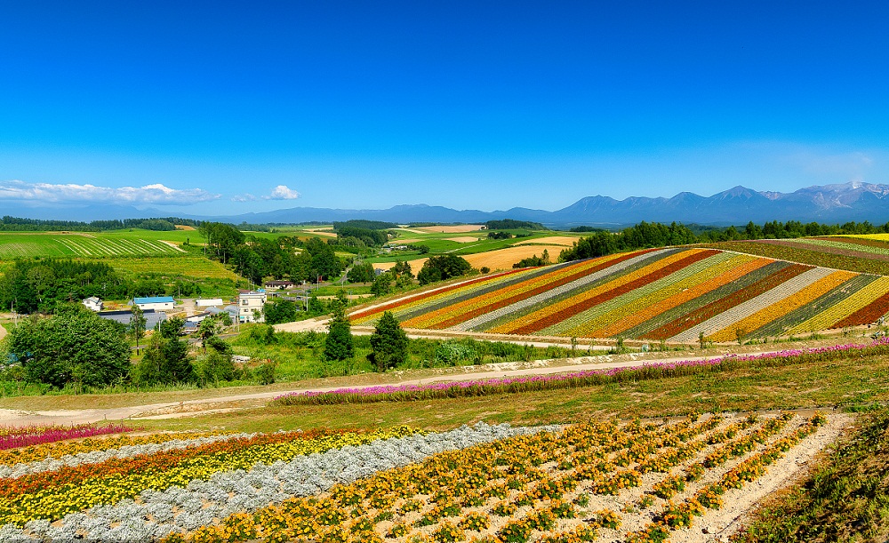 五部门：引导工业企业和园区推进工业绿色微电网建设与应用