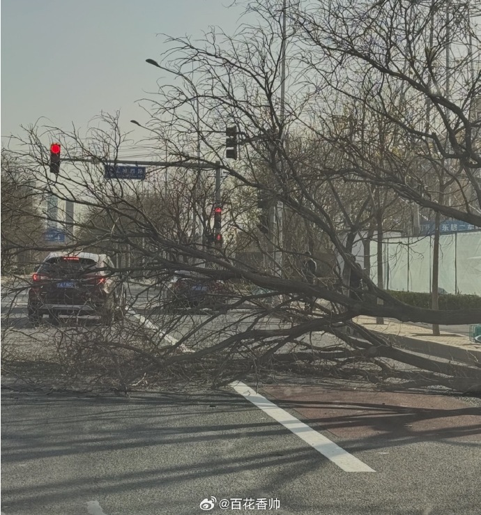 北京遭遇今冬首场大风沙尘天气