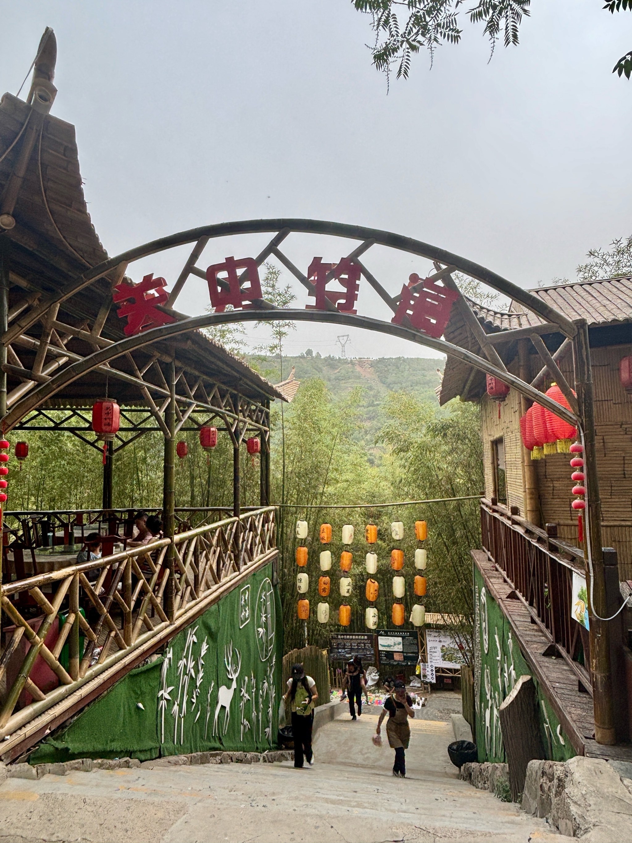 （走进中国乡村）浙江湖州乡村咖啡香飘老蚕房