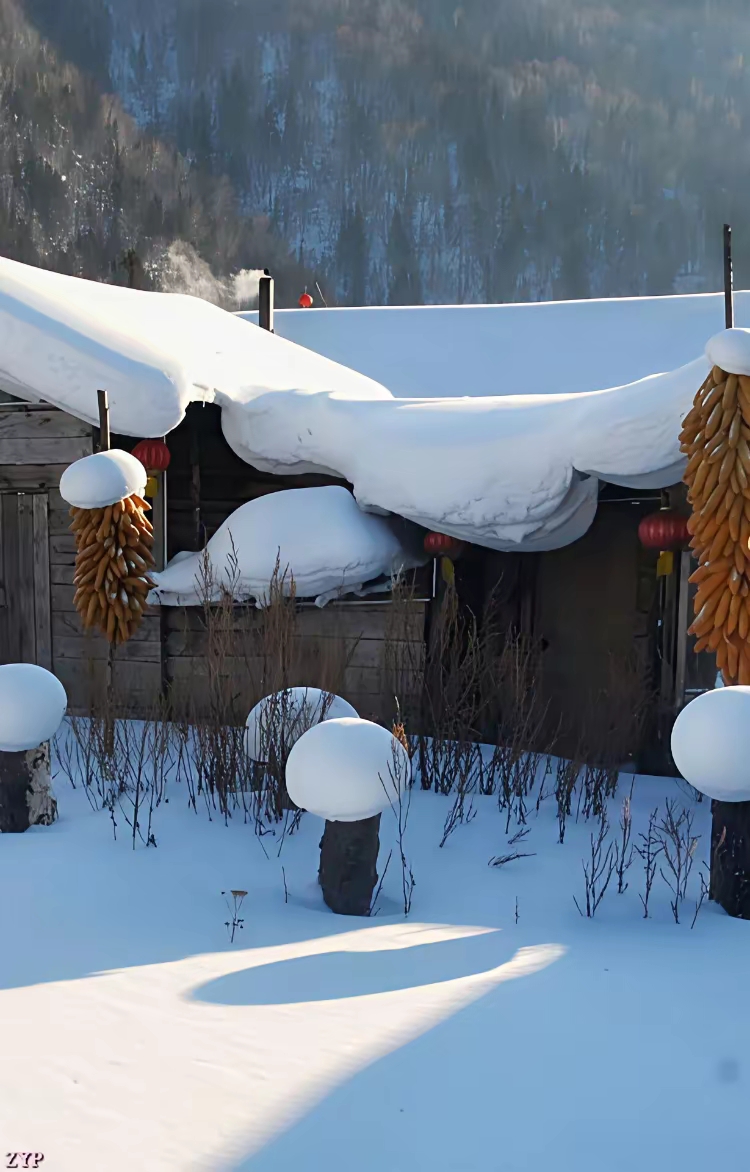 （走进中国乡村）冰雪热潮漫川西 高原山乡焕新机