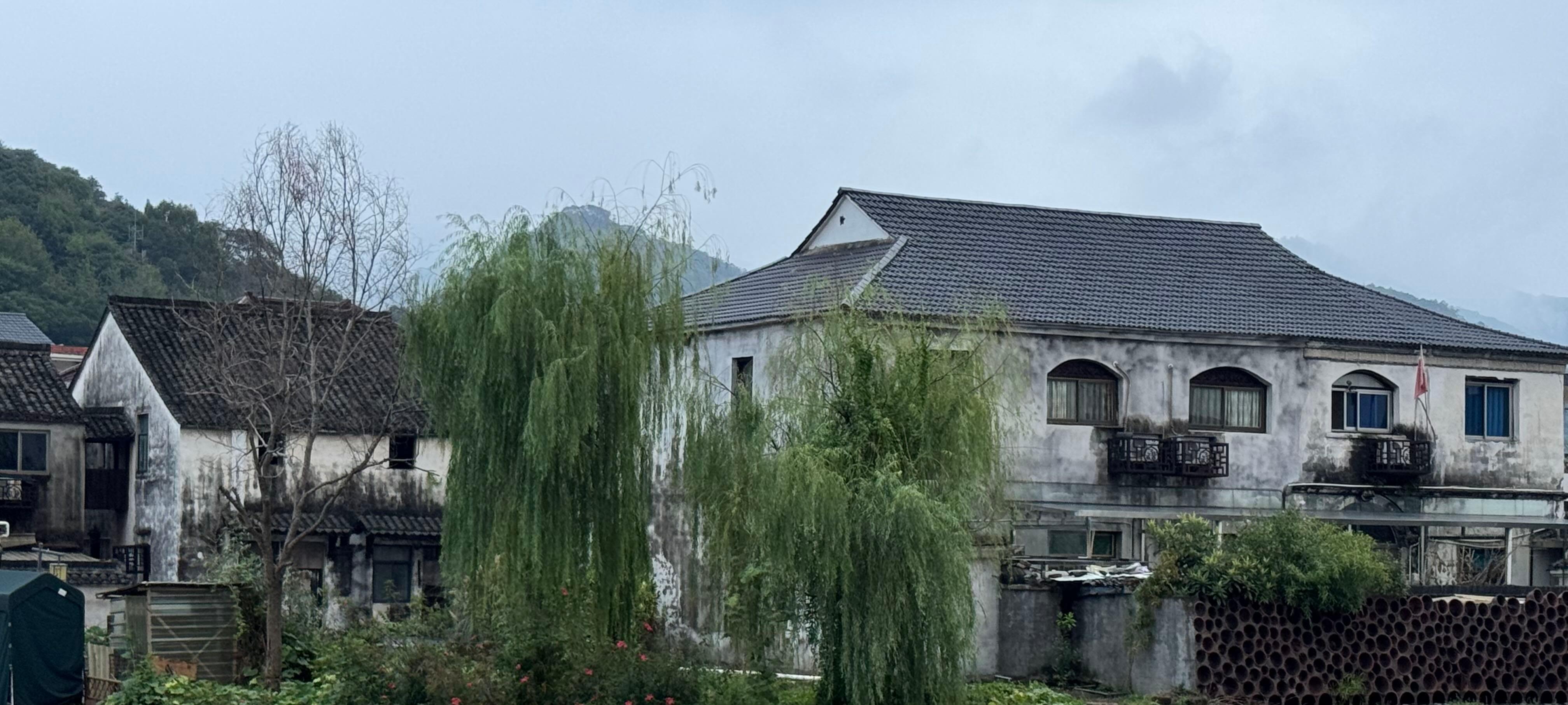 （走进中国乡村）产业引回“离乡雁” 广西百年古村“朝夕”皆暖