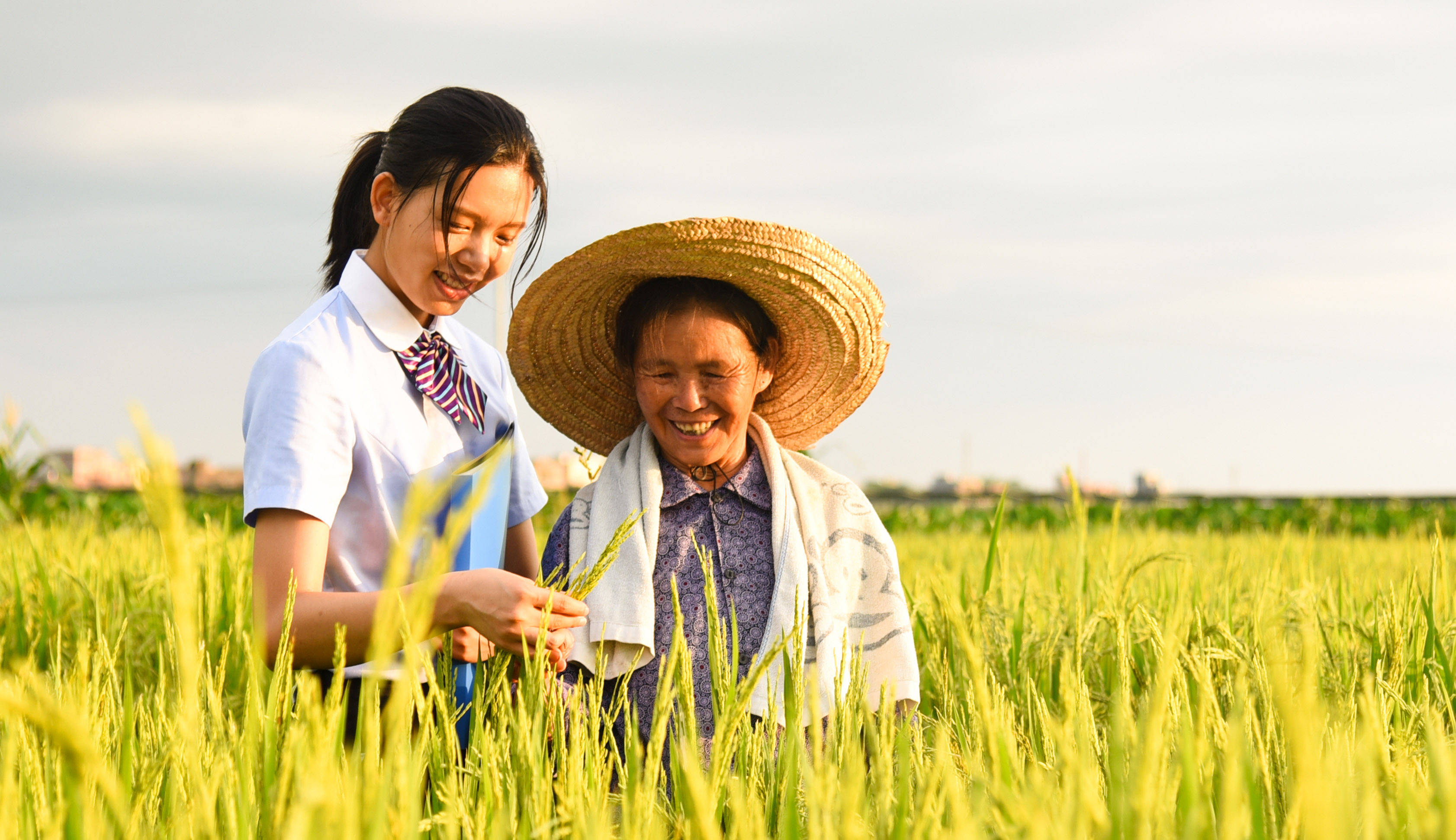 农信系统改革再扩围 三地明确筹建省级农商行