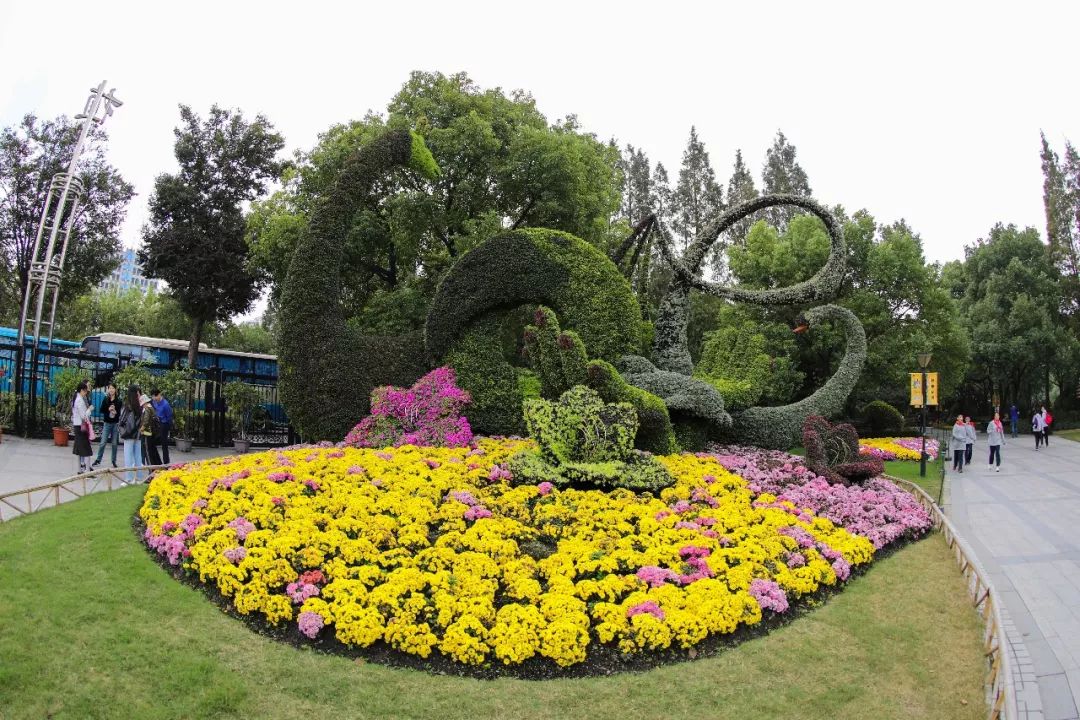 从宝岛到天山：台胞十年逐梦植物工厂