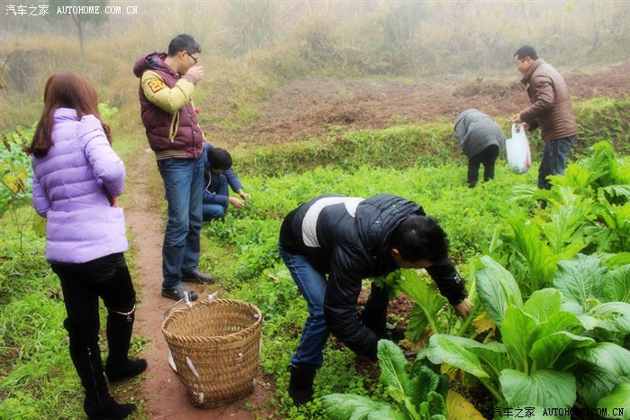 重庆合川启动“1.11刨猪汤节日计划”征集 邀网民共创IP