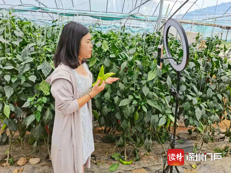 甘肃乡村深闺“甘味”农产品“物畅其流”