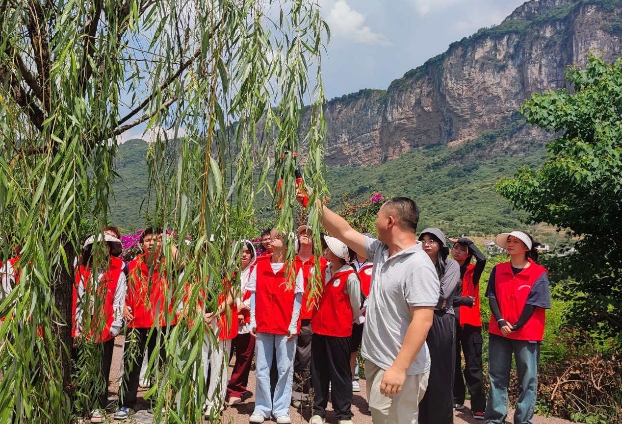 （乡村行・看振兴）重庆乡村“抱团”奔赴振兴路：从“一村探路”到“百村共富”