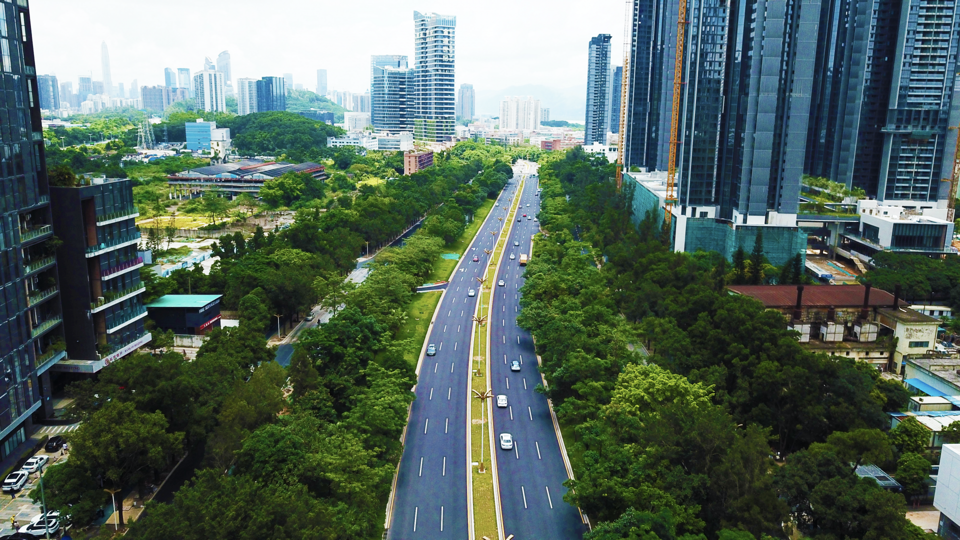 人保服务,拥有“如意行”驾乘险，出行更顺畅！_中国花茶市场深度调查及未来趋势预测2026