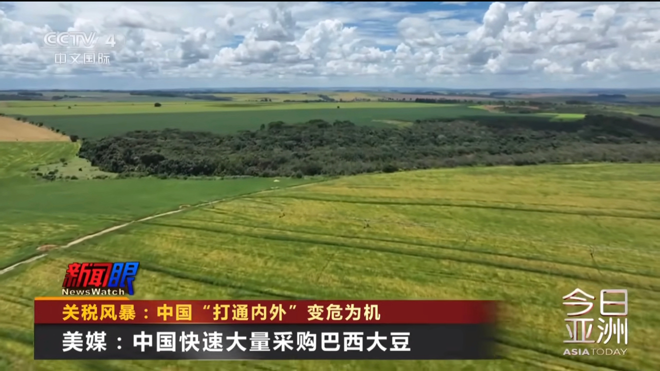 2025年泰国大米出口量达790万吨