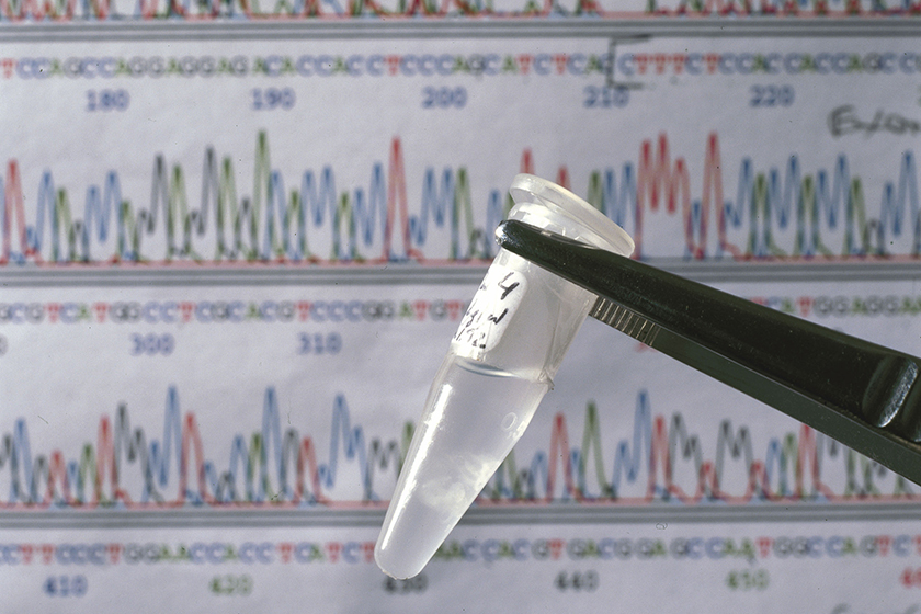 人保服务 ,人保有温度_2026基因检测产业深度调研及未来发展趋势预测