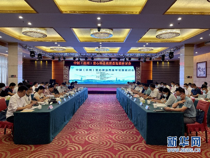 多策驱动 政府投资基金从规模扩张迈向提质增效