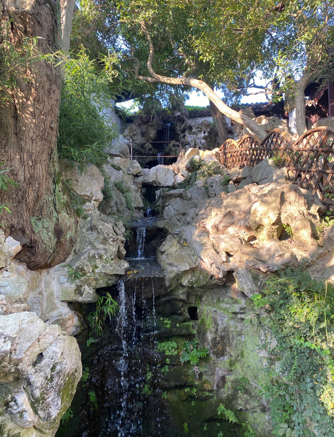 新人涌入“宝黛恋”园林领证 苏州姑苏区结婚登记量增长88.8%