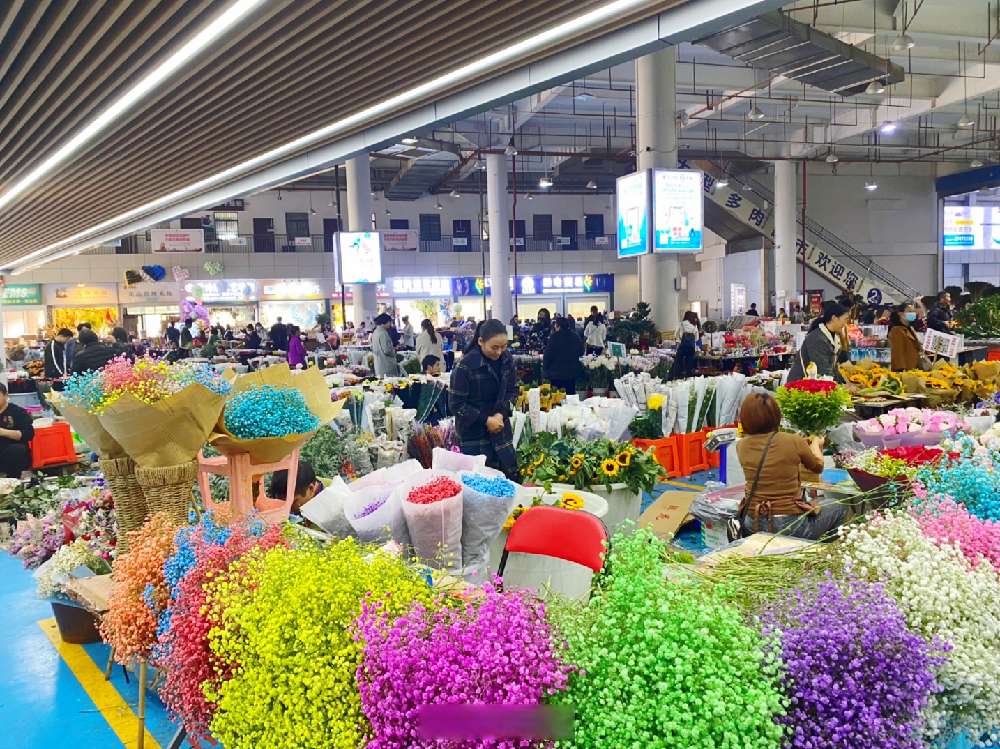 2025年云南鲜切花出口12.2亿元 连续7年全国第一