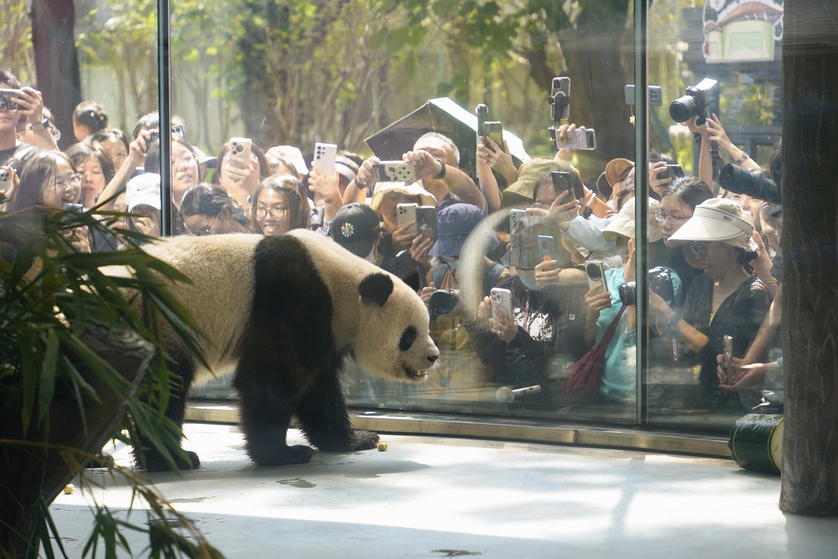 旅日大熊猫离开上野动物园启程回国 日本民众依依惜别