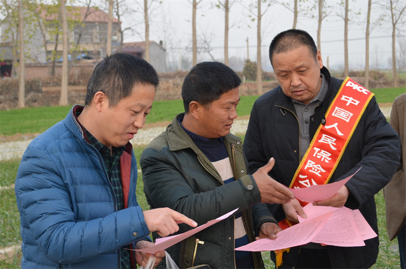 人保服务,人保财险 _大豆油行业市场规模分析及未来趋势预测2026