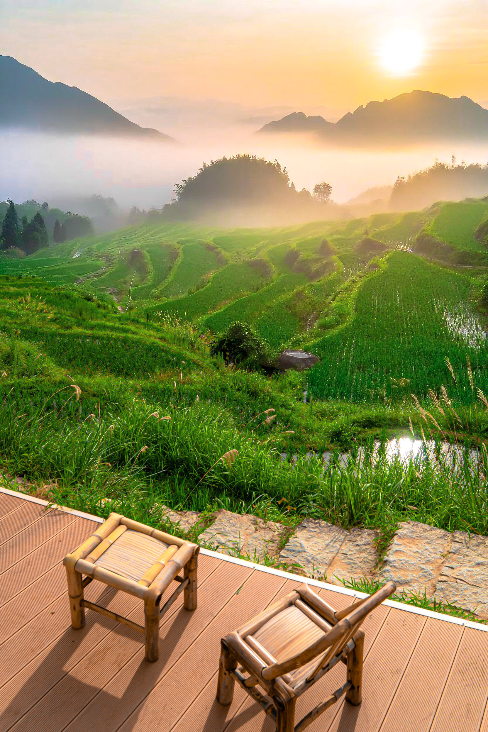 （乡村行・看振兴）浙江遂昌富农联运工程孕育山区“小幸福”与“大希望”