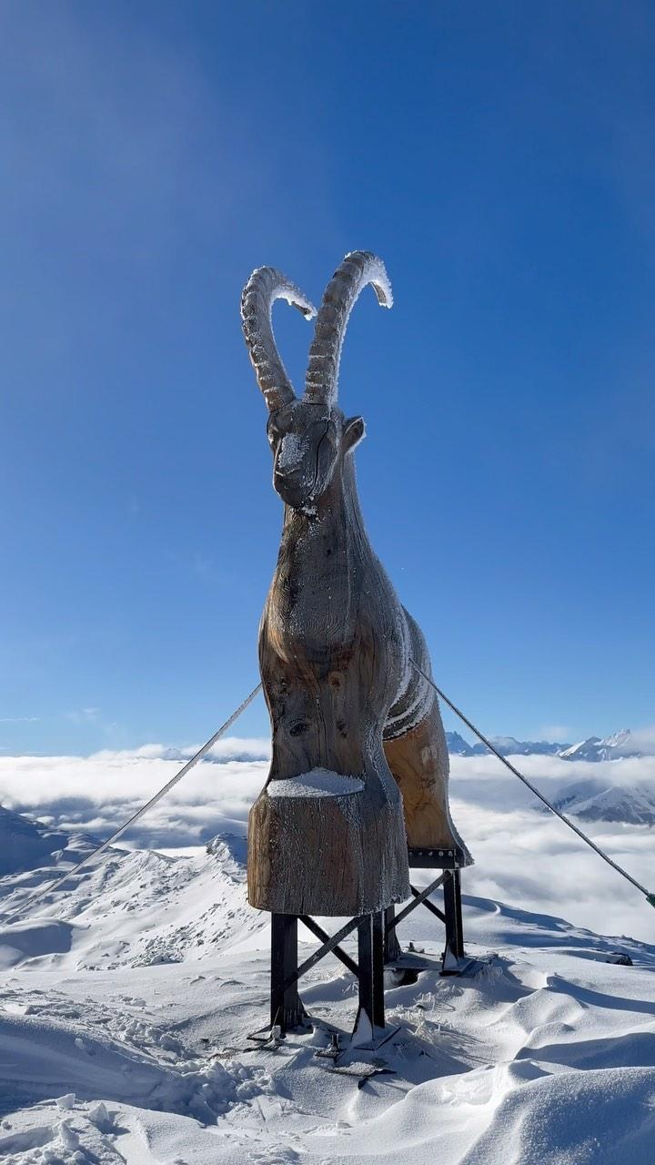 法国滑雪胜地一家五星级酒店火灾 近300人被紧急疏散