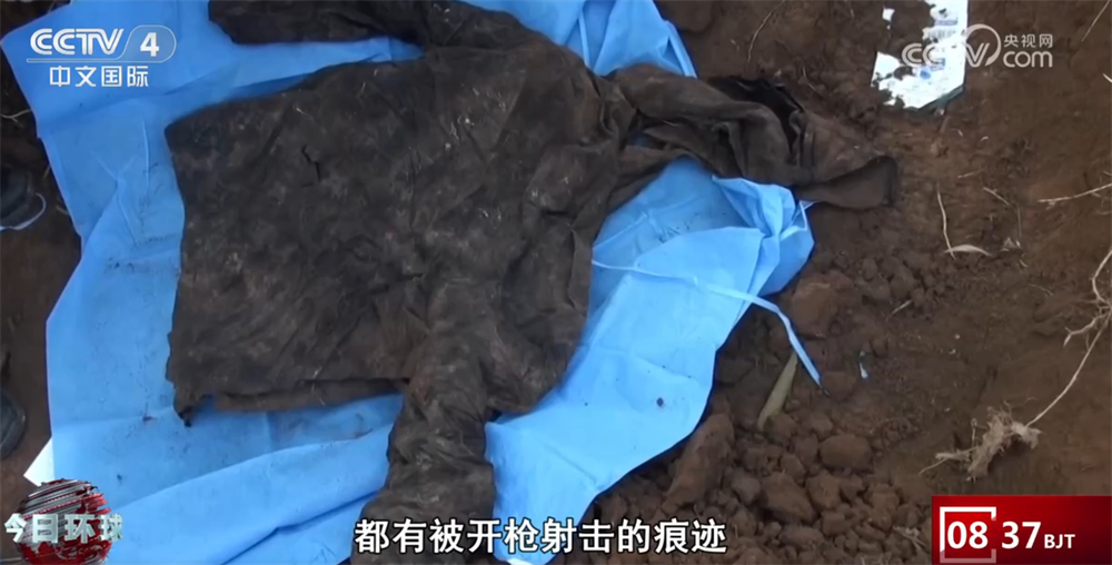 缅北徐发启犯罪集团案一审宣判