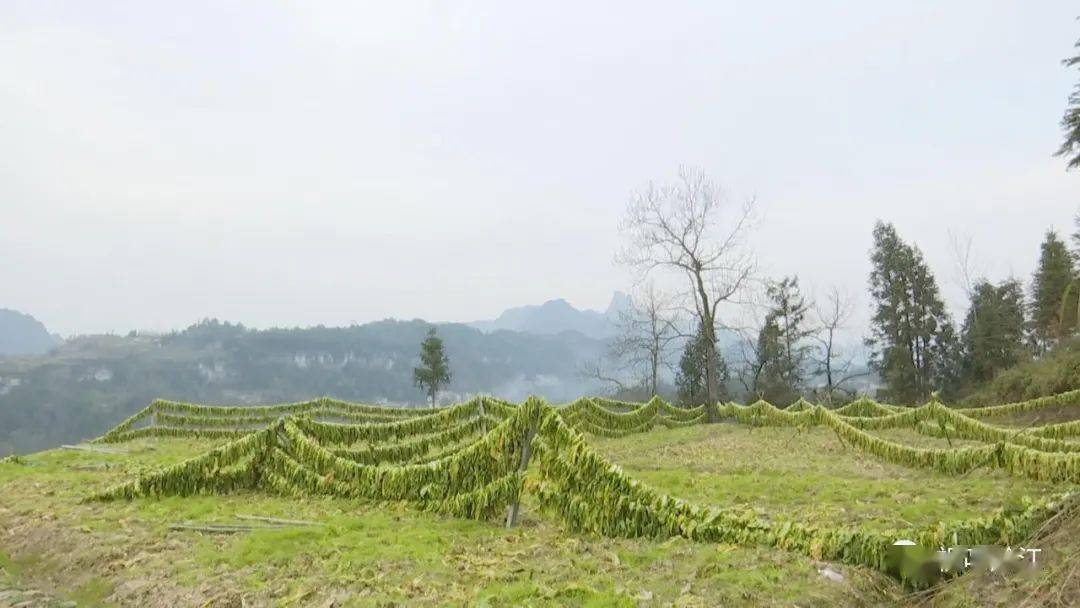 (新春走基层)浙江宁波解锁“鄞州算法” 横溪市集酿就共富味
