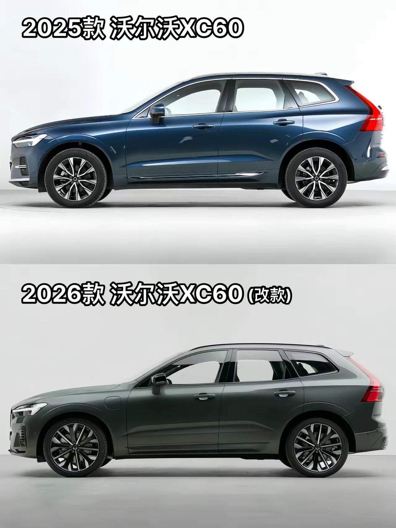 拥有“如意行”驾乘险，出行更顺畅！,人保护你周全_2026医疗机器人行业兼并重组：跨越4000公里的手术与国产替代的黎明