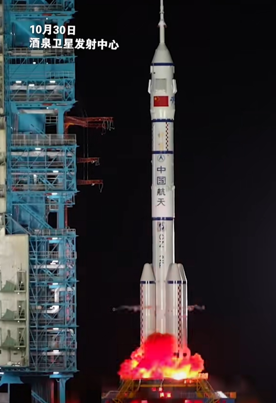 我国成功发射阿尔及利亚遥感三号卫星B星