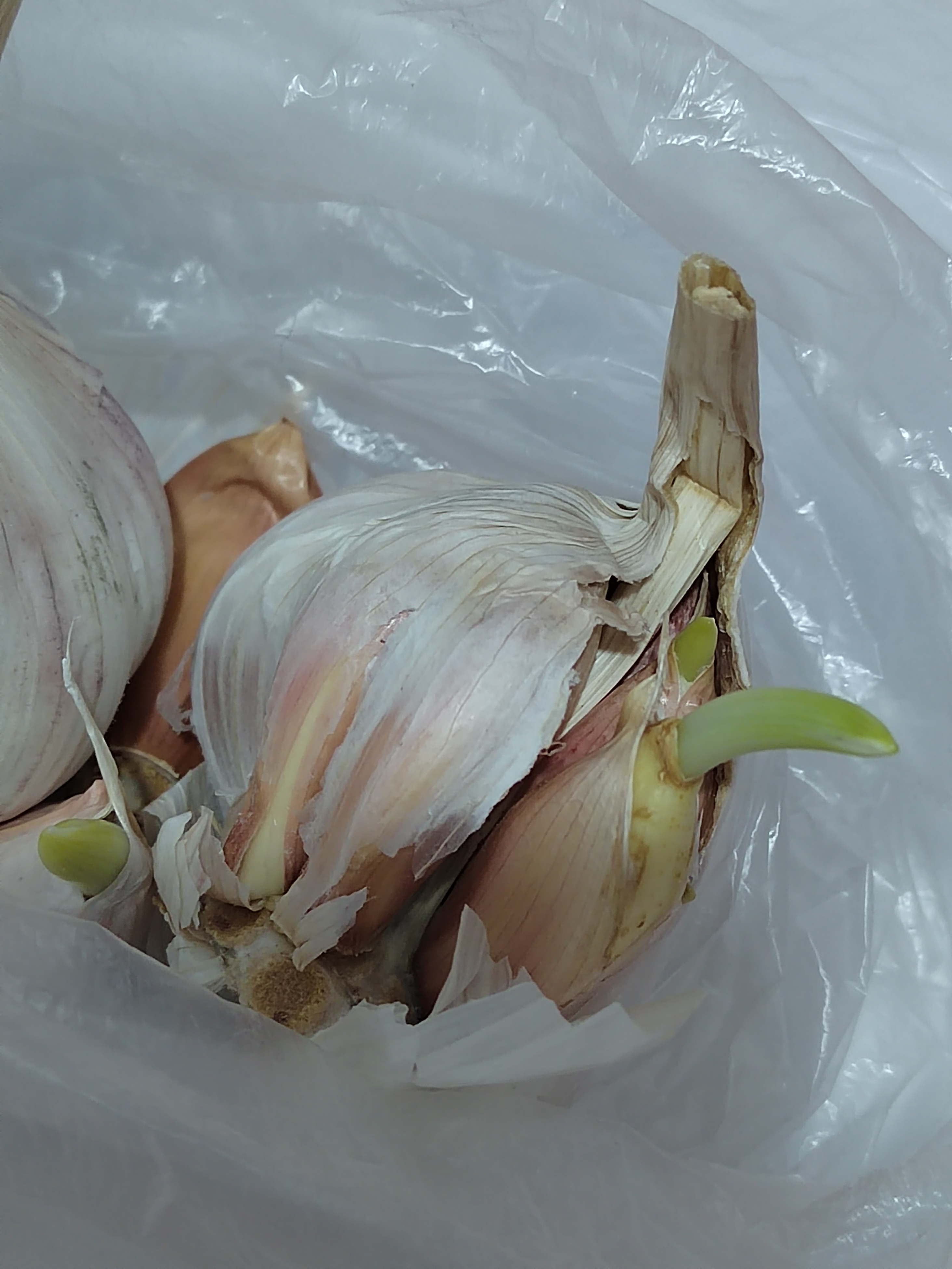 中国蒜乡村庄不种蒜 却能“收全国、卖全球”