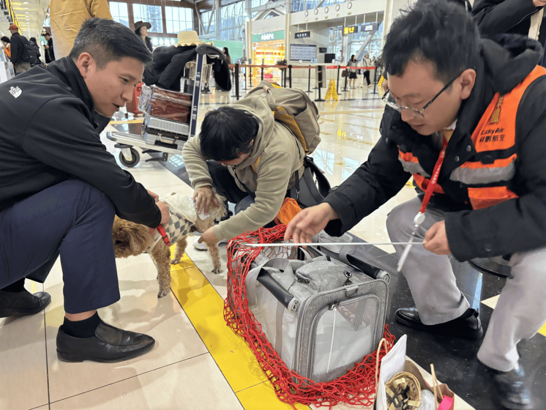 2026年春运各大航司在粤增投运力、提升服务保障水平