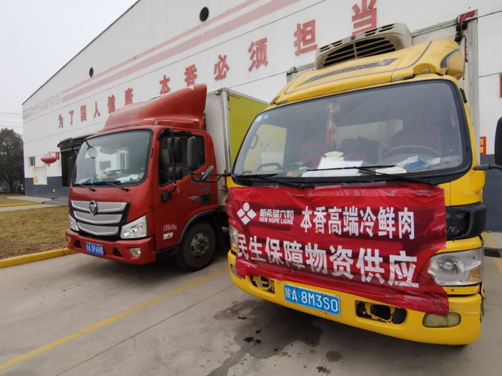 （新春走基层）宁夏蔬菜乘铁路冷链专列“出海” 春节前夕直供东南亚市场