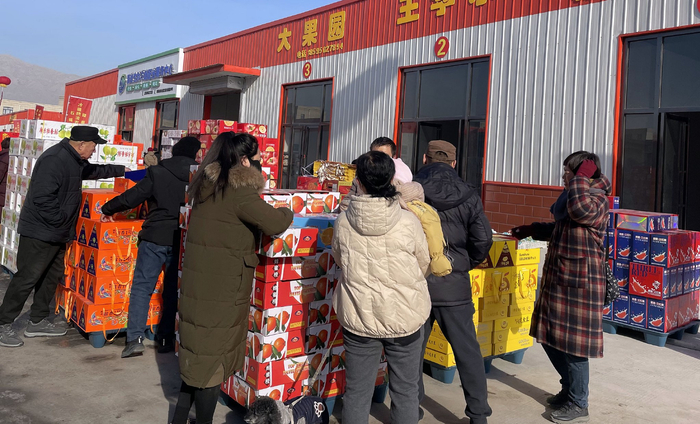 （新春走基层）宁夏蔬菜乘铁路冷链专列“出海” 春节前夕直供东南亚市场