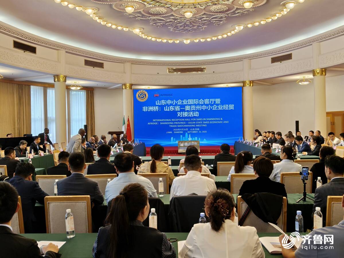 陈丽华：中小企业出海的供应链管理精髓是“合作”