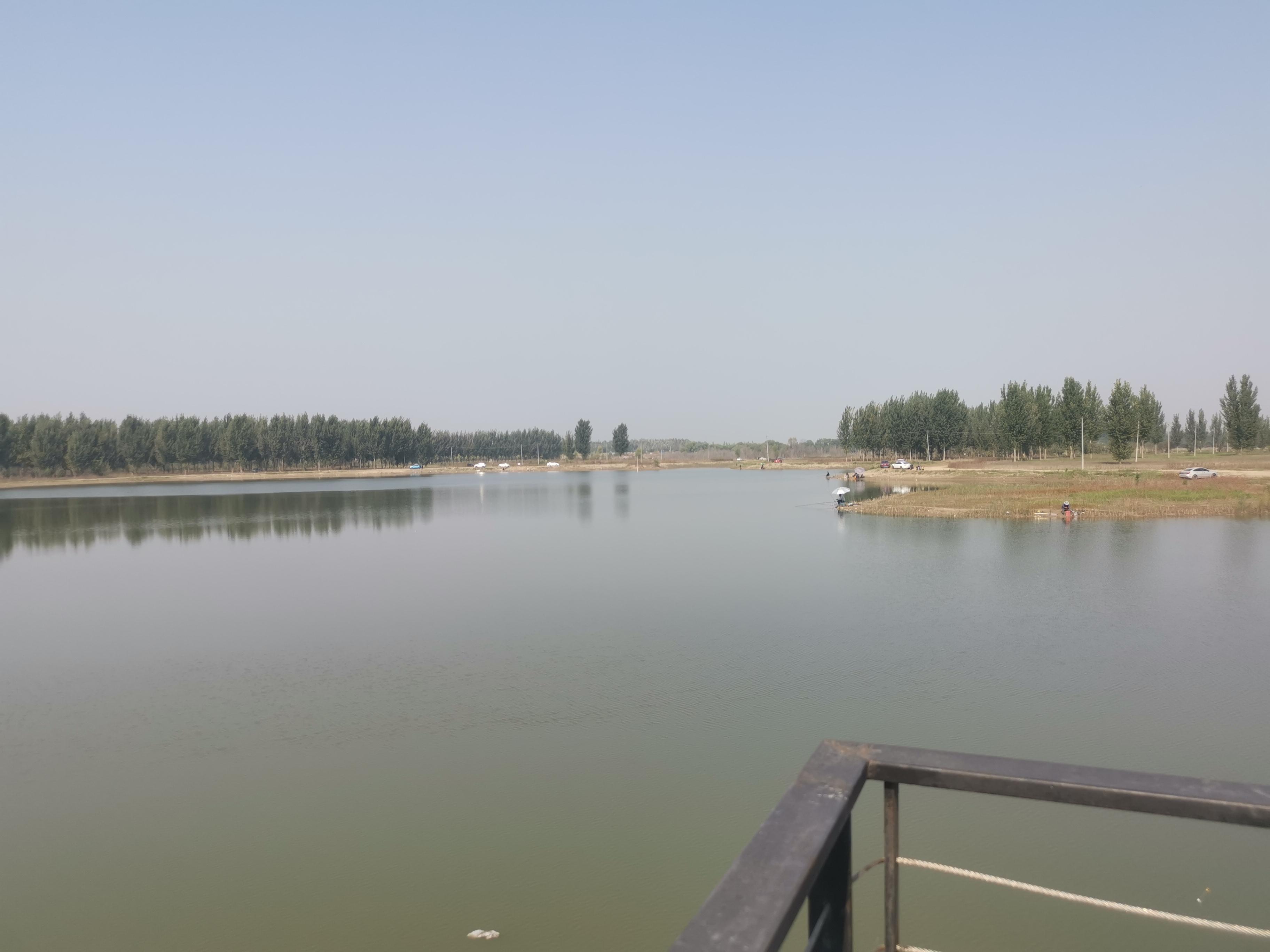 （乡村行・看振兴）福建永定：北菇南移 冬闲田变身“聚宝盆”