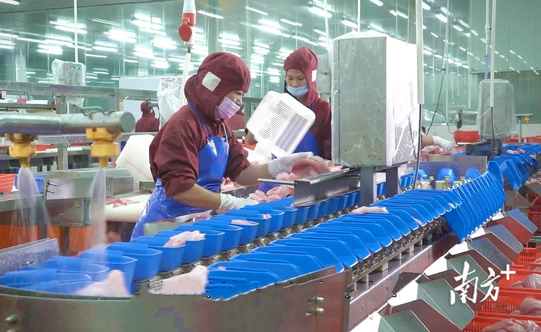 2026年漱口水行业市场深度调研及发展前景预测_保险有温度,人保财险政银保 