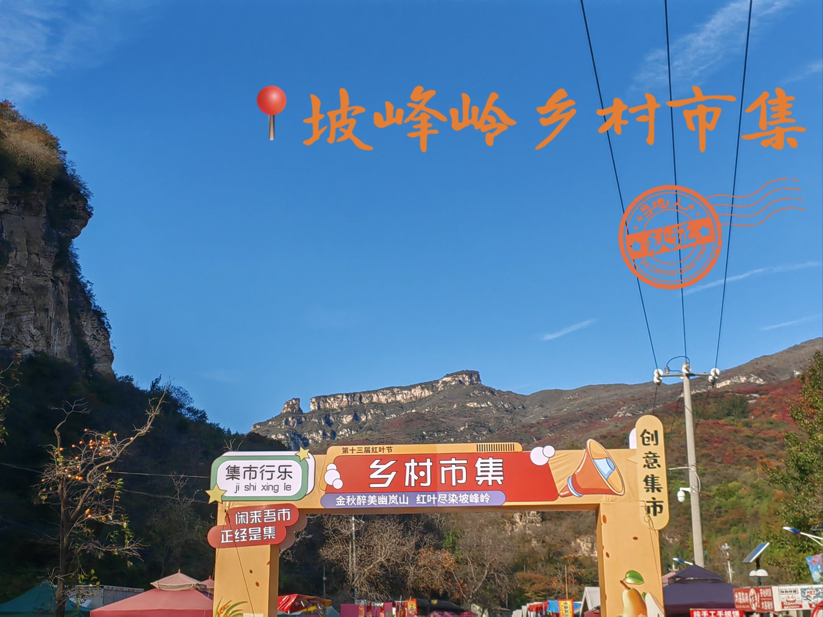 （走进中国乡村）浙江安吉“中国白茶第一村” 飘香山野市集