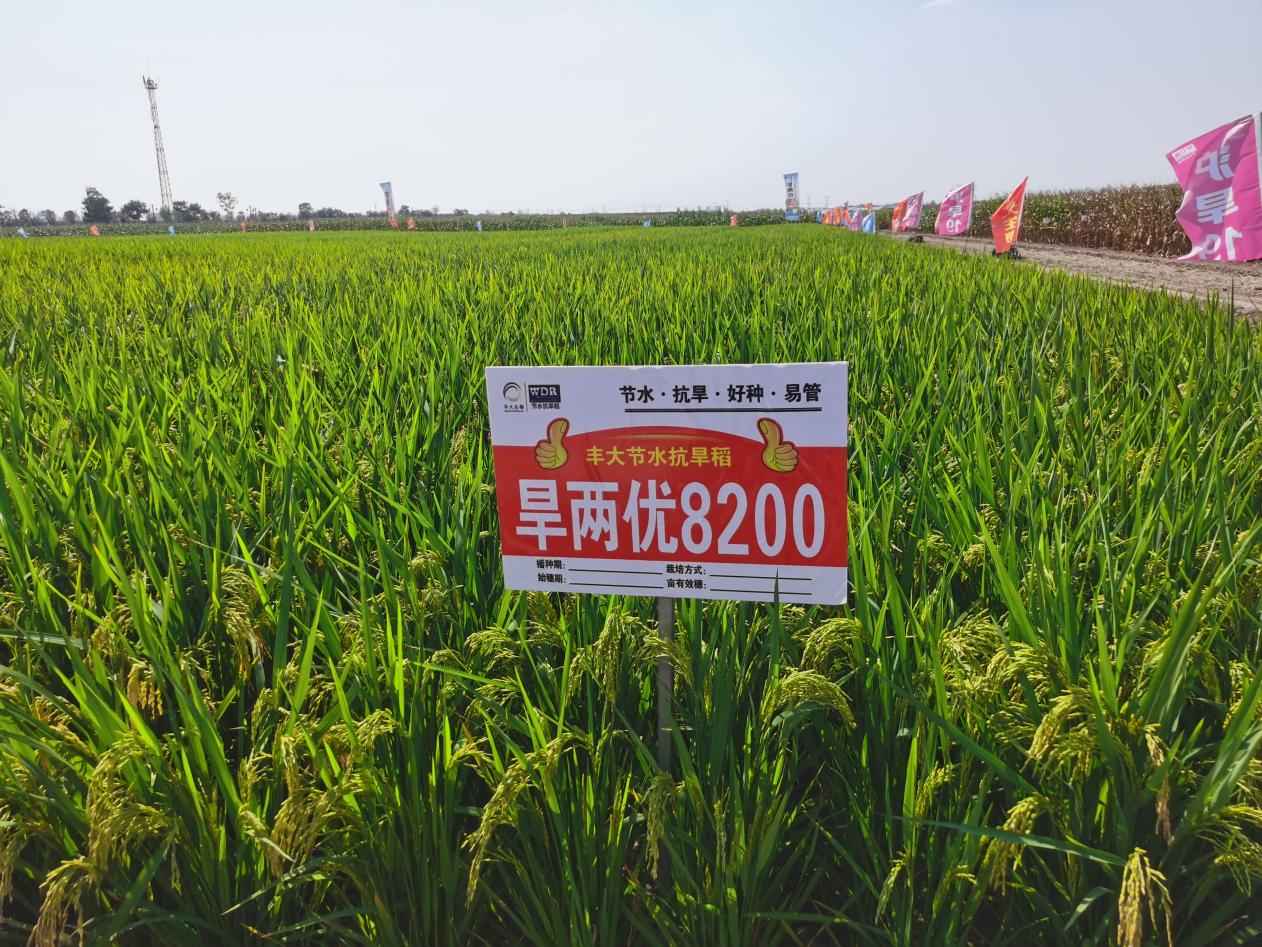 北京节水产业规模超150亿元 全产业链体系初步形成