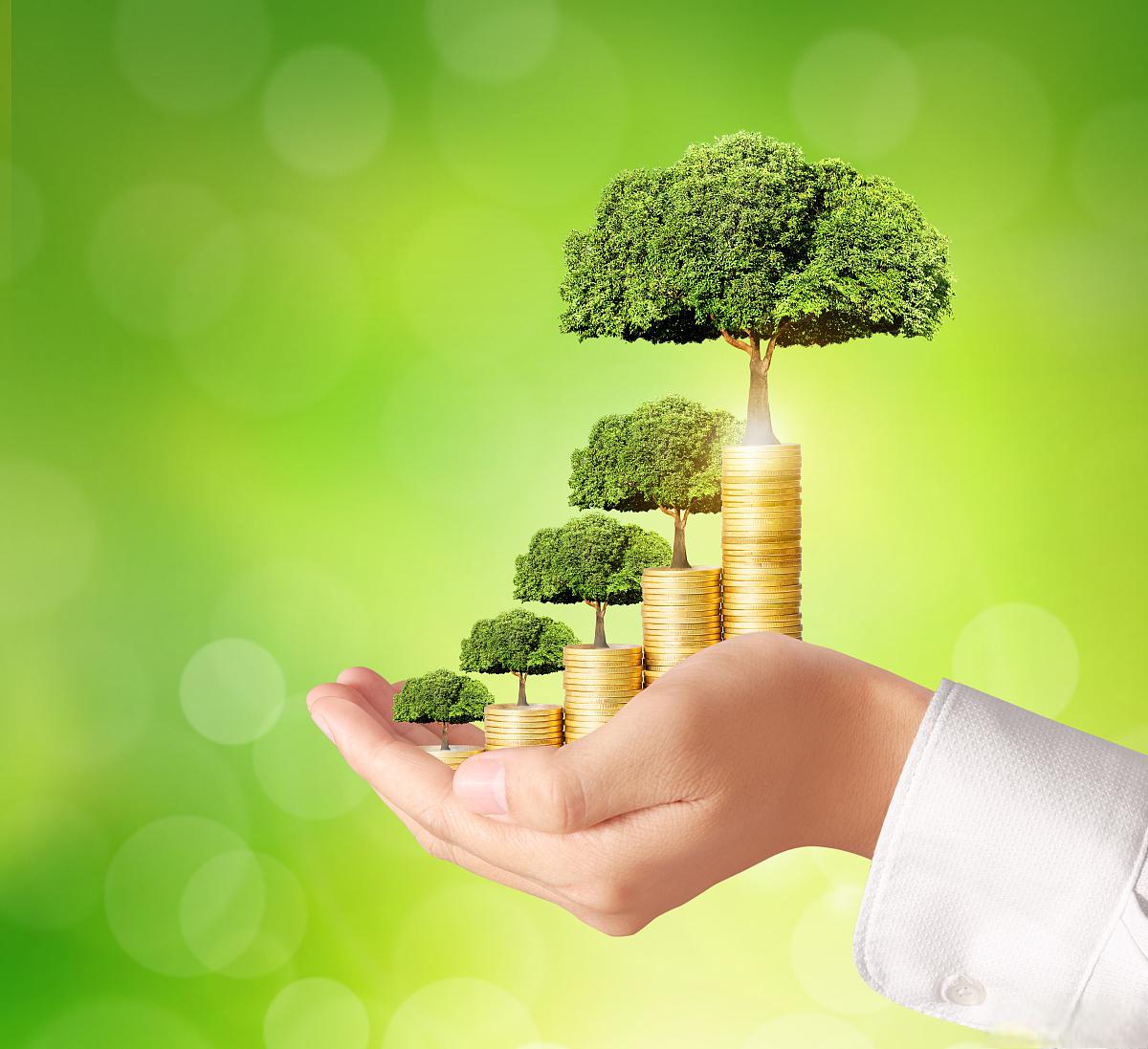 2026-2030年湿巾行业:绿色可持续与市场教育挑战_人保车险 品牌优势——快速了解燃油汽车车险,人保护你周全