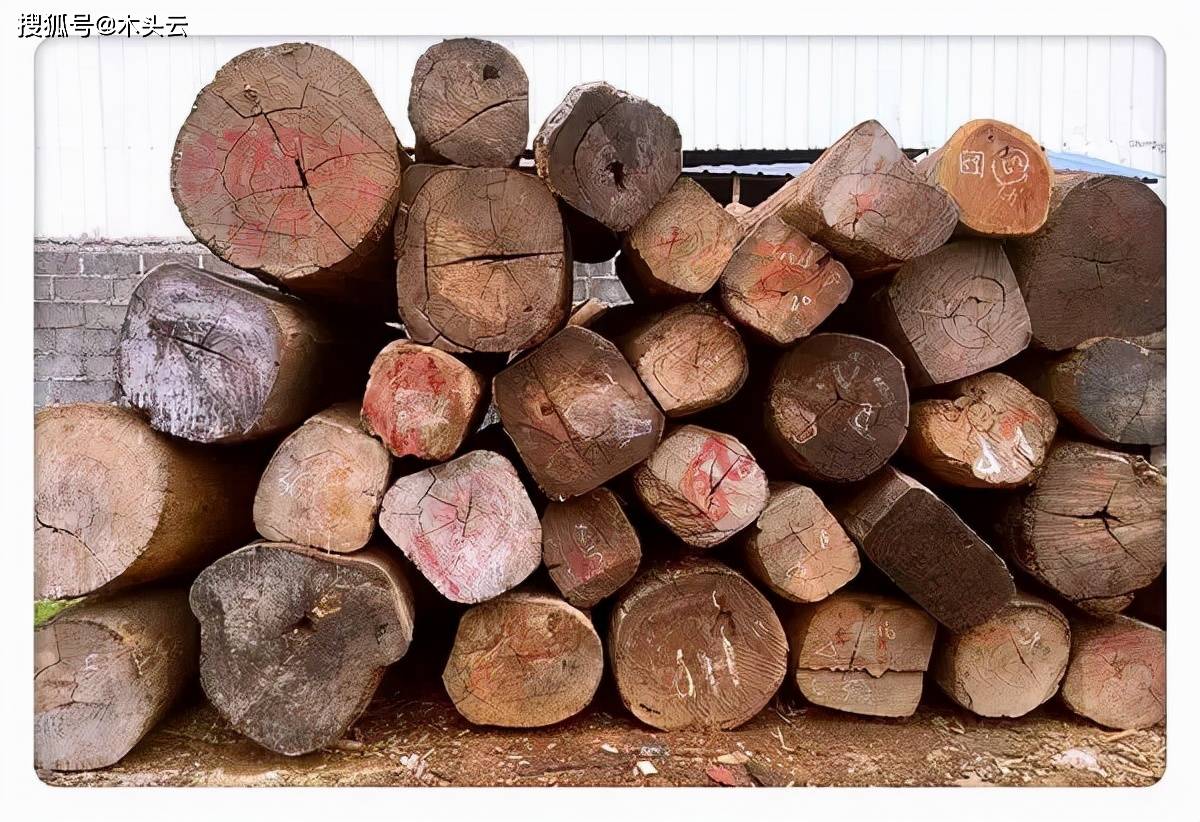 2026锯材产业：从“木材加工”到“木材科技”的产业跃迁_人保服务,拥有“如意行”驾乘险，出行更顺畅！