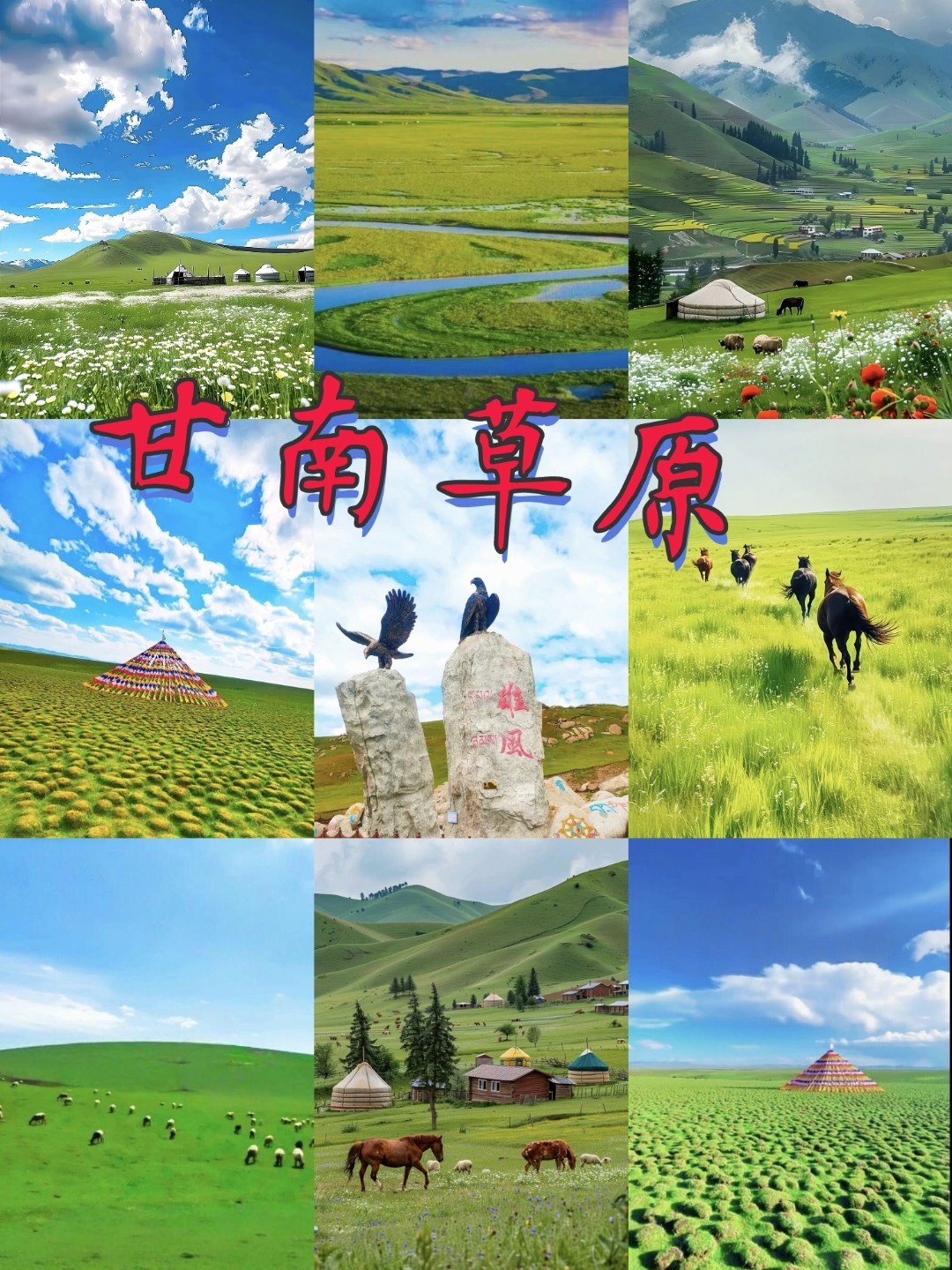 (新春走基层)云端饵丝香：海拔4000米的“家国味道”