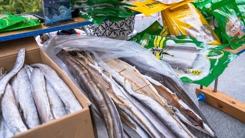 （新春见闻）浙江象山：菜场年味浓 渔家美食迎抢购热潮